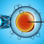The Rising Demand for IVF: A Transformative Journey in Reproductive Health