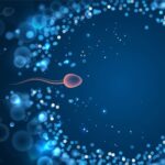 IVF in Mexico: Exploring Safety, Quality, and Benefits