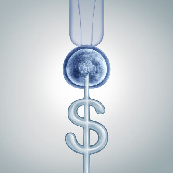 Is IVF Affordable? Exploring the Cost of In Vitro Fertilization