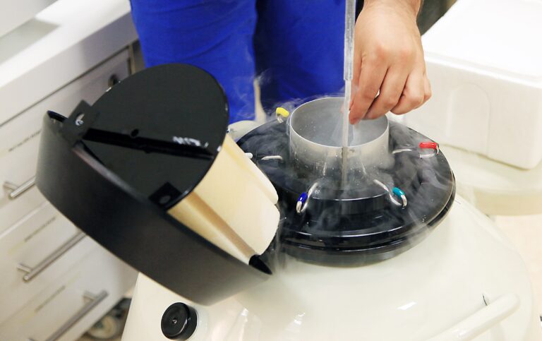 Fertility preservation